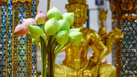วันธงชัยเดือนสิงหาคม 2569 เช็กฤกษ์วันมงคล เสริมความรุ่งเรือง เหมาะเริ่มต้นใหม่ทุกด้าน