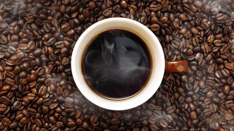 ไขความลับ “รสขมในกาแฟดำ” มาจากไหน? เผยประโยชน์ที่หลายคนอาจคาดไม่ถึง!