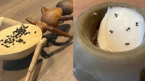 เกาหลีใต้สั่งจำคุก 1 ปี เจ้าของร้าน "มิชลิน 2 ดาว" หลังนำ "มด" ตกแต่งเมนูขนมหวาน