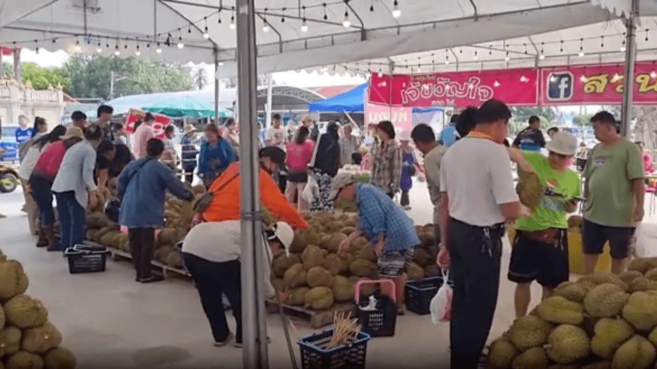 เจ้าของสวนปรับกลยุทธ์ นำ "หมอนทอง" ขายตรงถึงชุมชน หลังเจอภาวะราคาตกต่ำ