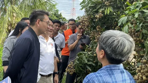 กมธ.พัฒนาเศรษฐกิจ ติดตามสถานการณ์ลำไยเชียงใหม่-ลำพูน ชี้ ต้องแก้ทั้งห่วงโซ่