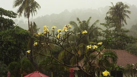 อุตุฯ ฉบับ 6 เช็กพื้นที่ฝนตกหนักถึงหนักมาก ช่วง 26-30 ก.ค. “โนอึล” ขึ้นฝั่งกวางตุ้งแล้ว