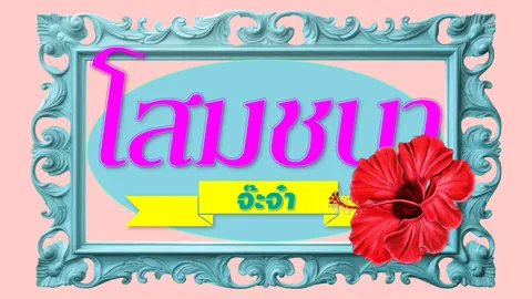 โสมชบาจ๊ะจ๋า 5 สิงหาคม 2569