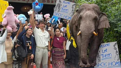 "คนรักช้าง" รวมตัวหน้าสถานทูตฯ ทวงคืน “พลายประตูผา-พลายศรีณรงค์” ศรีลังกาใช้งานผิดวัตถุประสงค์