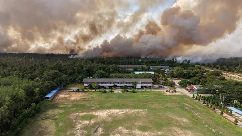 ไฟป่าพรุควนเคร็งคลี่คลาย เจ้าหน้าที่เร่งคุมแนวดำไม่ให้ปะทุซ้ำ ปิด 2 โรงเรียนอีกวัน