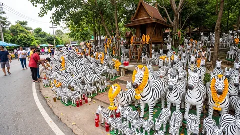 ม้าลายแก้บน วางล้นศาล ซอฟต์พาวเวอร์สายมูสุดฮิต เฉลยสุดท้ายไปอยู่ไหน?