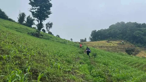 สลด แม่สะเรียงดินโคลนถล่มทับบ้านเรือน ชายวัย 56 เสียชีวิต 1 ศพ