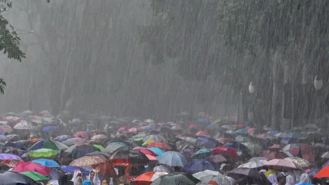 ประกาศฉบับ 7 เช็กจังหวัดเสี่ยง "ฝนตกหนักถึงหนักมาก" เฝ้าระวังน้ำท่วมฉับพลัน