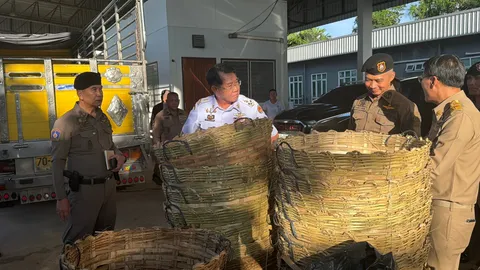 ยาบ้า 10 ล้านเม็ด ซุกรถบรรทุกเข่งไม้ไผ่ สีเหลืองเด่นสะดุดตา โดนเรียกเข้าด่านห้วยไร่-ไม่รอด