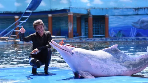 กำแบงก์ร้อย ชวนไปโอบกอดโลมาสีชมพู ชุบชีวิตตำนานวัยเด็กที่ Oasis Sea World