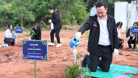 สธค. ลุยปลูกป่าพิมาย เพิ่มพื้นที่สีเขียว 300 ต้น หนุนเศรษฐกิจชุมชนยั่งยืน