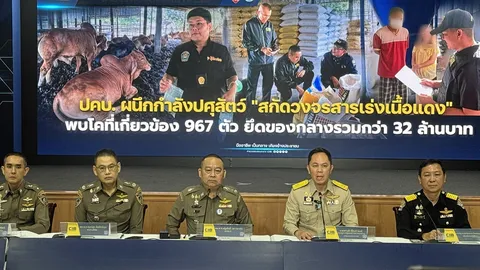 สกัดสารเนื้อแดง ระดมค้น 5 จังหวัด ฉีดเข้า "โคขุน" มีผลอันตรายในสุขภาพคน