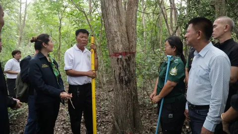 กมธ.ที่ดินฯ ลงพื้นที่ป่าชุมชนโค้งตาบาง ดันรายได้คาร์บอนเครดิตถึงมือชาวบ้าน