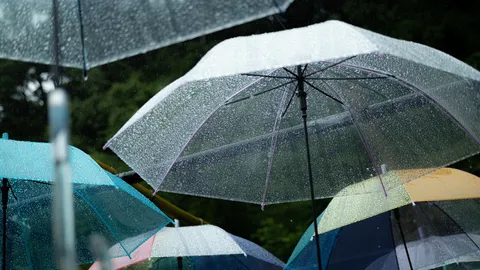 อุตุฯ เตือน 4-7 ต.ค. อากาศแปรปรวน เช็กจังหวัดฝนตกหนัก อาจเกิดน้ำท่วมฉับพลัน