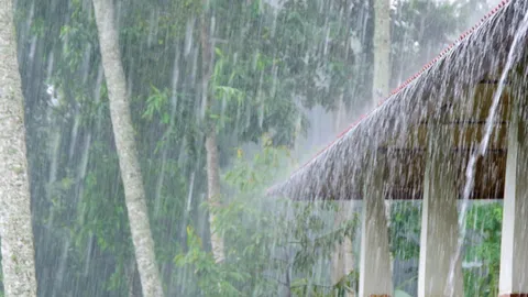เตือนอากาศแปรปรวนฉบับ 8 เช็กจังหวัดเสี่ยง วันนี้ 5 ต.ค. มีฝนตกหนักถึงหนักมาก