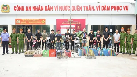 เวียดนามจับ 12 ชายต้องสงสัย ขโมยแมวกว่า 2,700 ตัว ส่งขายเป็นเนื้อ