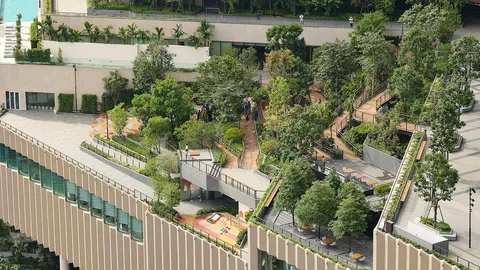 สวนดุสิตอรุณ จัดกิจกรรม Tree Walk สำรวจคุณค่าต้นไม้ในเมือง