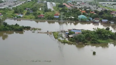 น้ำท่วมอยุธยา ยังกระทบหนัก ชาวบ้านต้องใช้เรือ-วัวควายขาดแคลนหญ้า