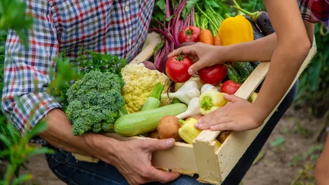 16 ตุลาคม 2569 เป็นวันอะไร? รู้จัก "วันอาหารโลก" (World Food Day) มีความสำคัญอย่างไร