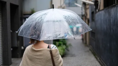 สภาพอากาศวันนี้ 16 ต.ค. ไทยยังมีฝนตกหนักบางแห่ง กทม. ร้อยละ 60 ของพื้นที่