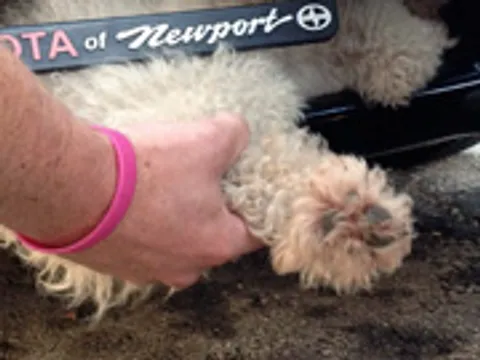 โลกาภิวัตน์ 08/10/55