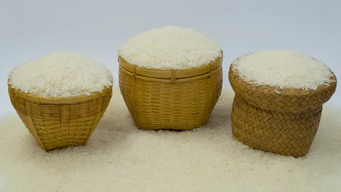 พาณิชย์เผย ส่งออกข้าวไทย 9 เดือนร่วง 19% เร่งเจาะตลาดฟิลิปปินส์-มาเลเซีย