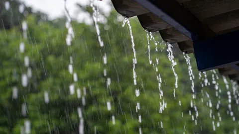 อุตุฯเตือนภาคใต้ ฝนจ่อถล่มหนัก "ปราจีนบุรี" ยังระทมน้ำเน่า "ฉะเชิงเทรา" แห้งบ้านพังยับ