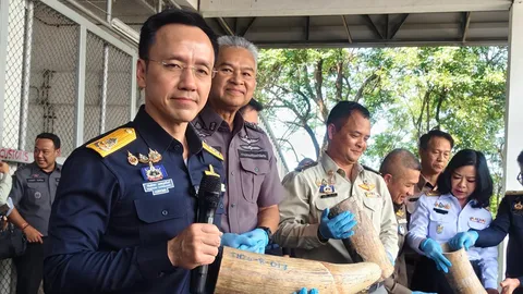 "กรมศุล" ยึดได้ ลักลอบนำเข้างาช้าง หนักกว่า 3.1 ตัน ซุกตู้คอนเทนเนอร์