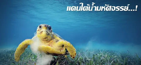 แดนใต้น้ำมหัศจรรย์...!