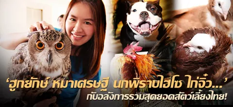 'ฮูกยักษ์ หมาเศรษฐี นกพิราบไฮโซ ไก่จิ๋ว...' กับอลังการรวมสุดยอดสัตว์เลี้ยงไทย! 