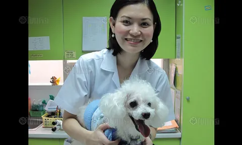 สุขกำลังสองของ คุณหมอปุ้ย ช่วยตาน้องหมาเห็นโลกสว่างอีกครั้ง