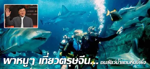 พาหนูๆเที่ยวตรุษจีน...ชมสัตว์น้ำแถมหุ่นขี้ผึ้ง