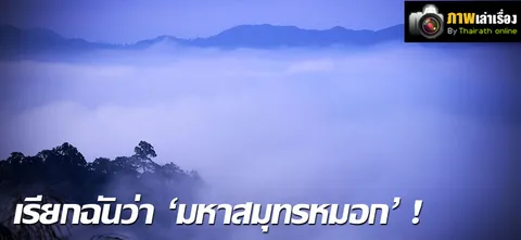 เรียกฉันว่า 'มหาสมุทรหมอก'!