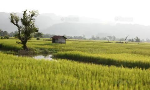 เที่ยวเส้นทางงานบุญออกพรรษาลุ่มน้ำโขง