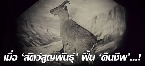 เมื่อ 'สัตว์สูญพันธุ์' ฟื้น 'คืนชีพ'...!
