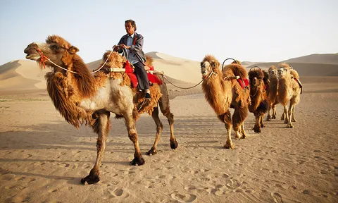 โลกาภิวัตน์ 15/05/56