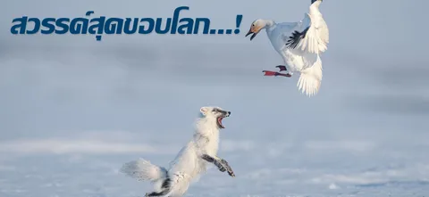 สวรรค์สุดขอบโลก...!