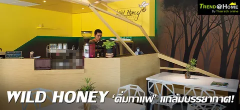 WILD HONEY 'ดื่มกาแฟ' แกล้มบรรยากาศ!