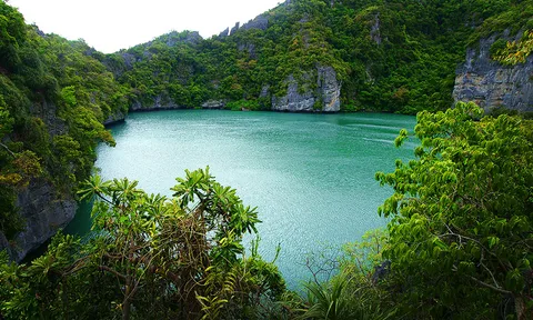 มอง 'ทะเลใน' มีอะไร 'ในทะเล'...?