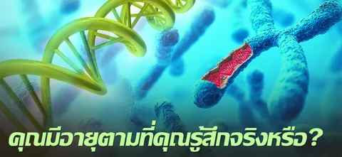 คุณมีอายุตามที่คุณรู้สึกจริงหรือ? 