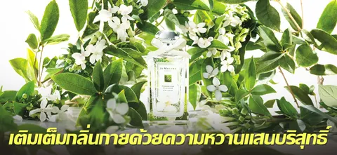 เติมเต็มกลิ่นกายด้วยความหวานแสนบริสุทธิ์