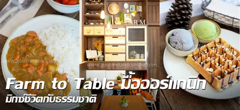 Farm to Table มื้อออร์แกนิก มิกซ์ชีวิตกับธรรมชาติ