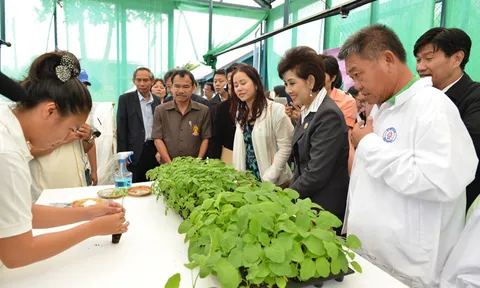 'จิตอาสาพัฒนาเต่างอย' ต่อยอดการเรียนรู้ สู่ความสำเร็จและความยั่งยืน!