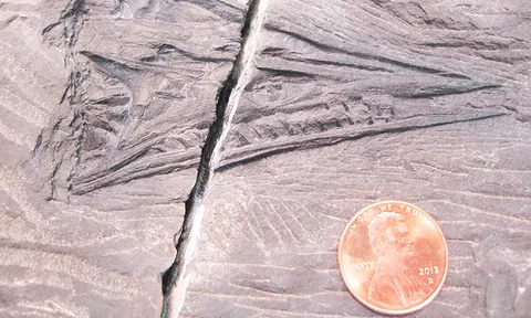 โลกาภิวัตน์ 30/09/56