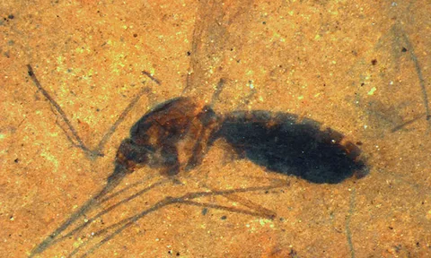 โลกาภิวัตน์ 18/10/56