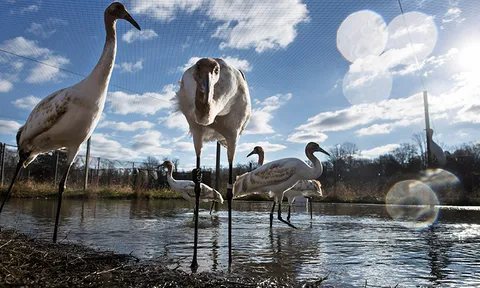 โลกาภิวัตน์ 18/12/56