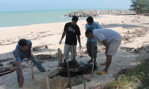 พบซากโลมา เกยตื้น ชายหาดเมืองคอน