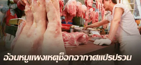 อ้อนหมูแพงเหตุช็อกอากาศแปรปรวน