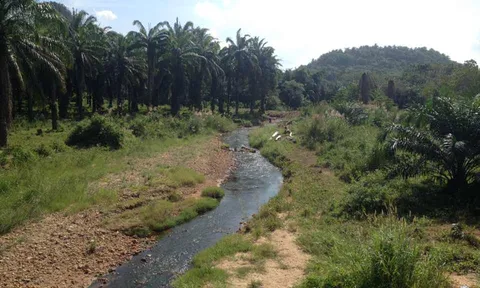 กระบี่เริ่มแล้ง น้ำเทือกเขาพนมเบญจาลดลงต่อเนื่อง