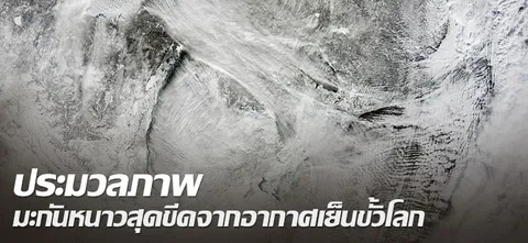 ประมวลภาพ มะกันหนาวสุดขีดจากอากาศเย็นขั้วโลก